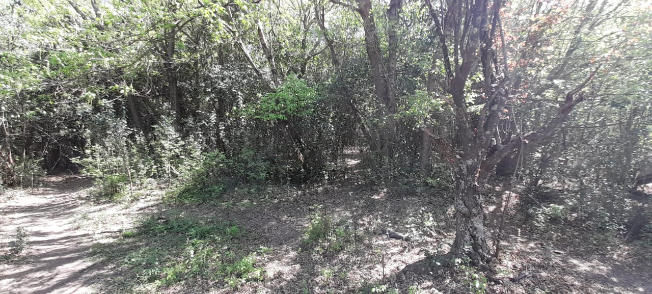13 Hectáreas en Venta en La Falda – Oportunidad de Inversión y Desarrollo - foto 25