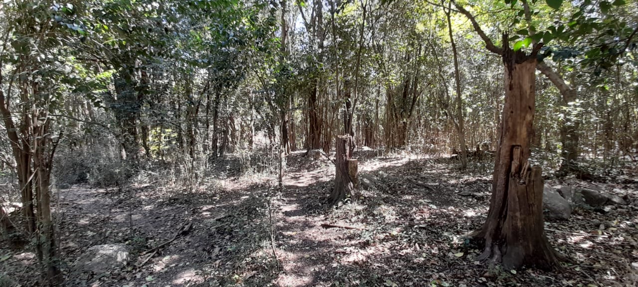 13 Hectáreas en Venta en La Falda – Oportunidad de Inversión y Desarrollo - foto 26