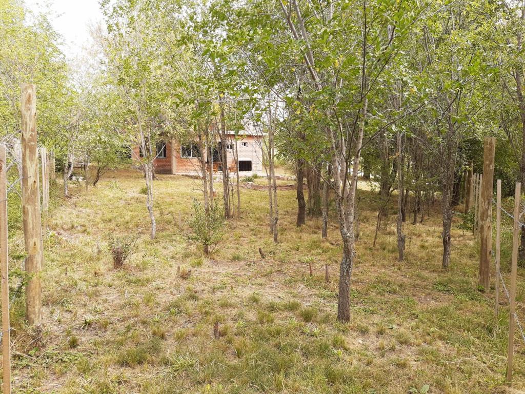 Casa en venta en esquina con terreno amplio, Villa Giardino - foto 10