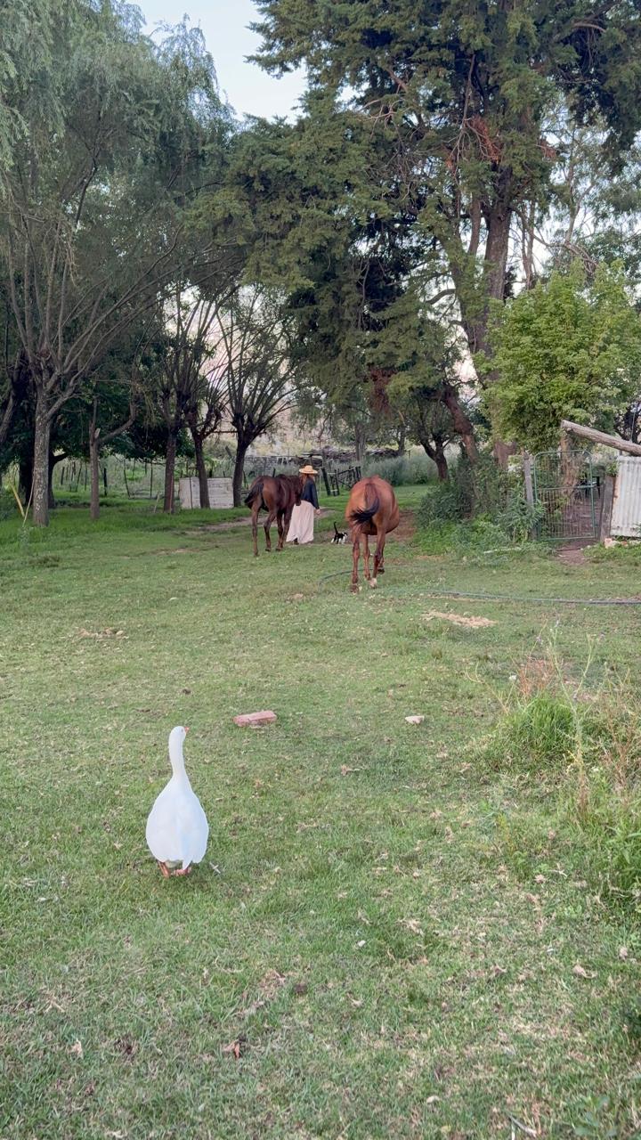 Casa en Alquiler con jardín en Tanti - foto 4