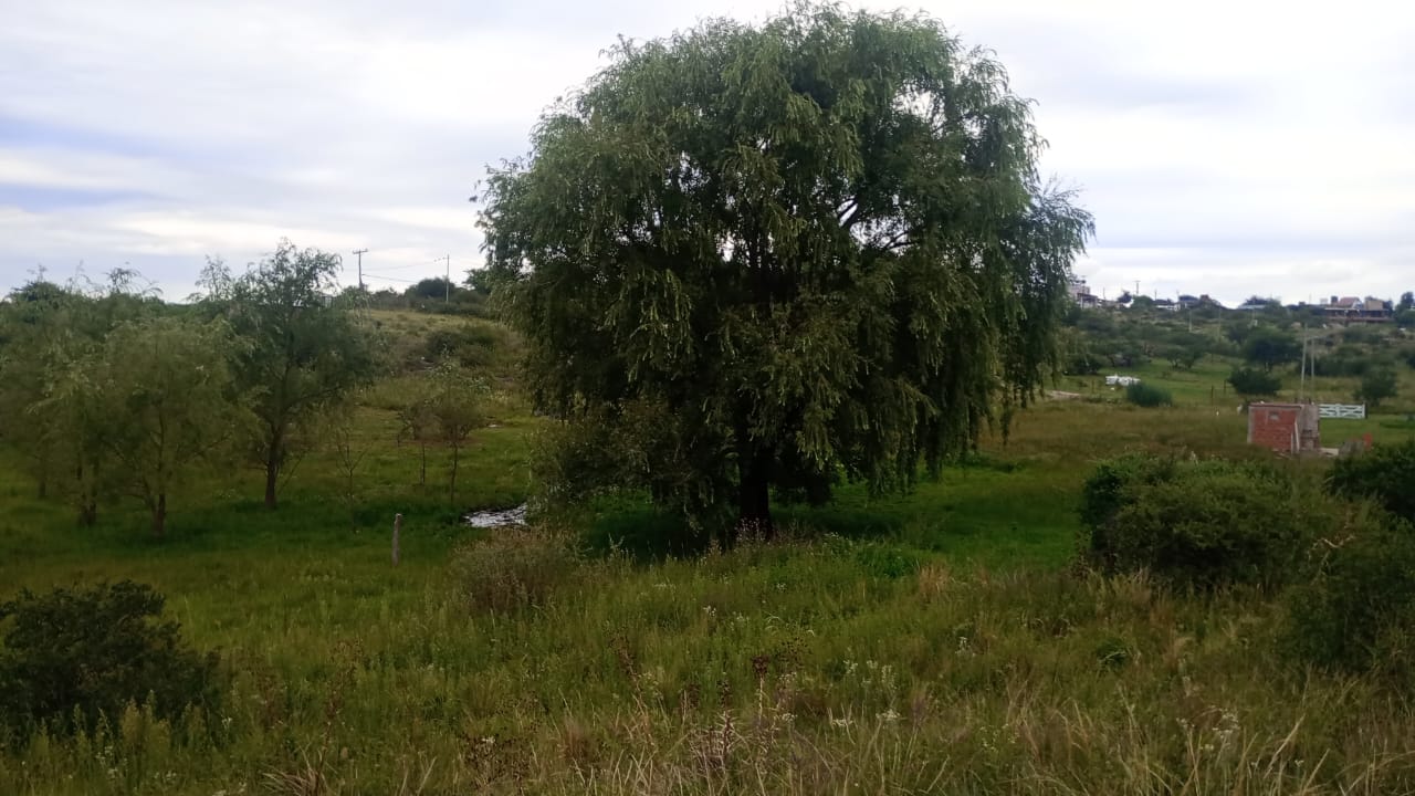 Lote en Venta de 1500m² en Los Chañares - foto 3