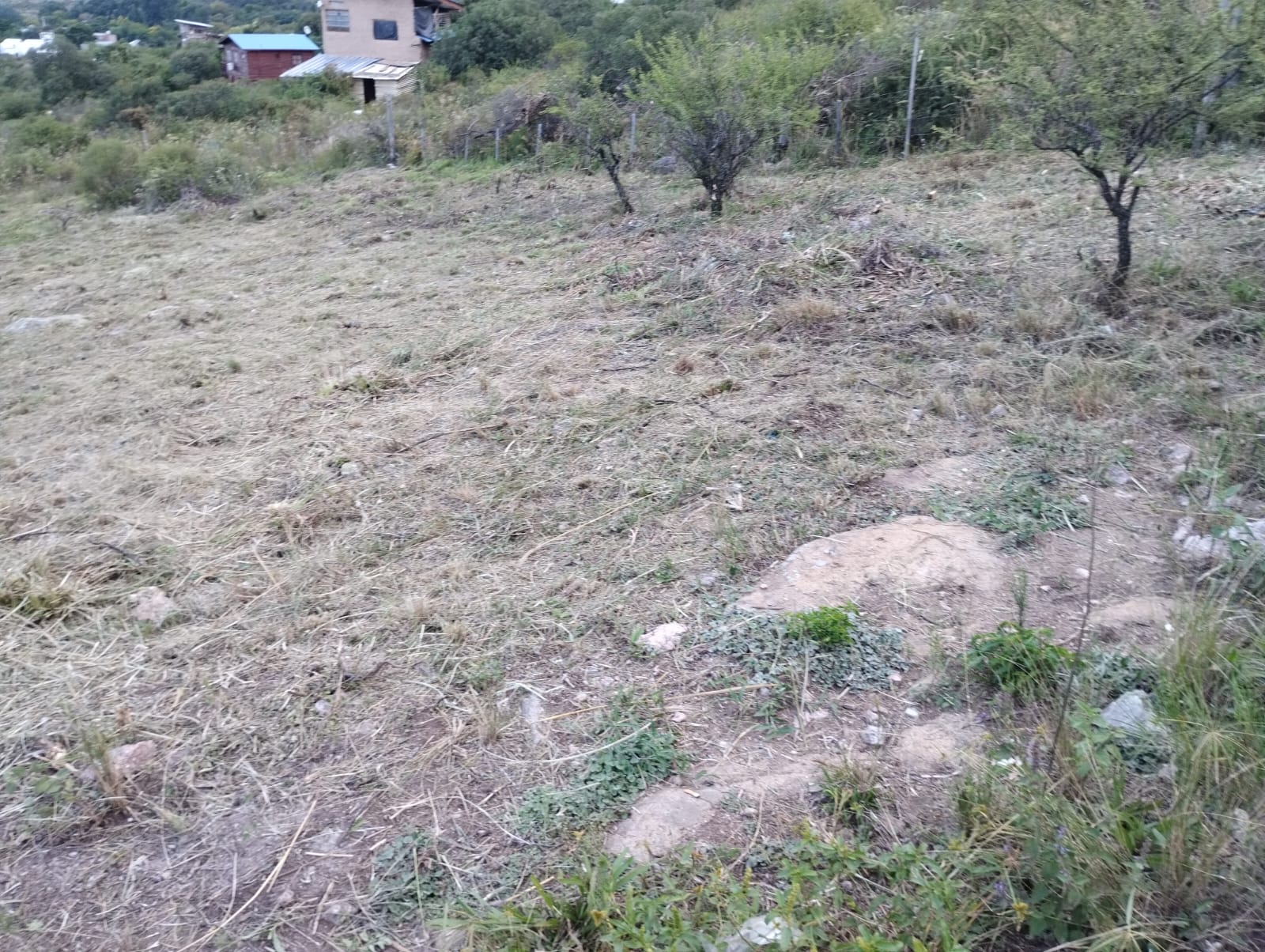 Lote en Venta de 1200m² en Los Chañares - foto 2