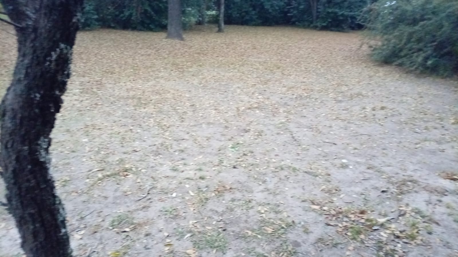 Terreno en Venta de 1200m² en Valle Hermoso - foto 3