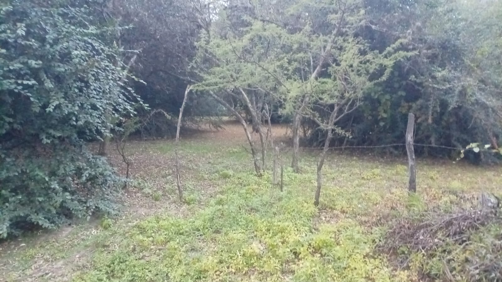 Lote de 1.200 m² en venta en Villa Los Ángeles, Valle Hermoso - foto 5