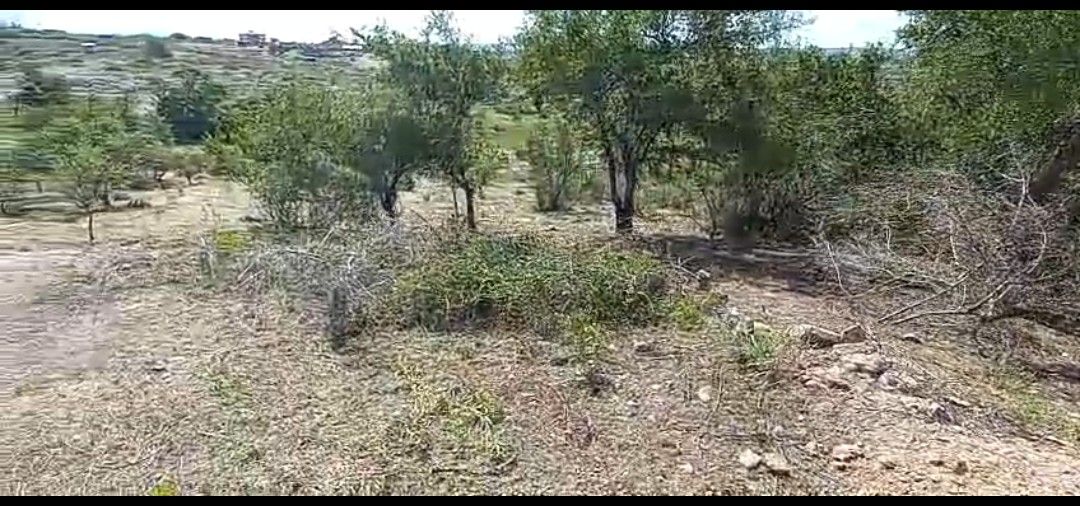 Terreno en Venta de 1416m² en Empalme Tanti - foto 7