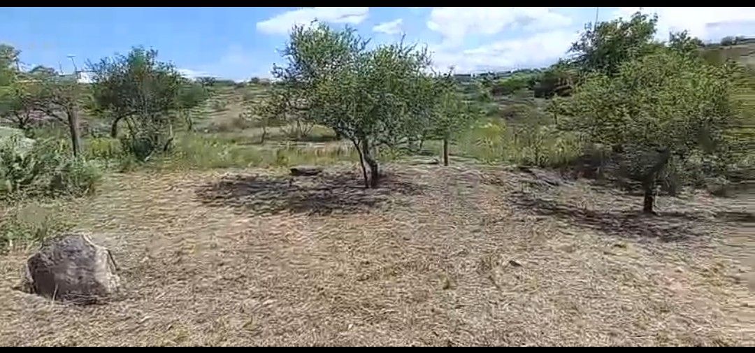 Terreno en Venta de 1416m² en Empalme Tanti - foto 10