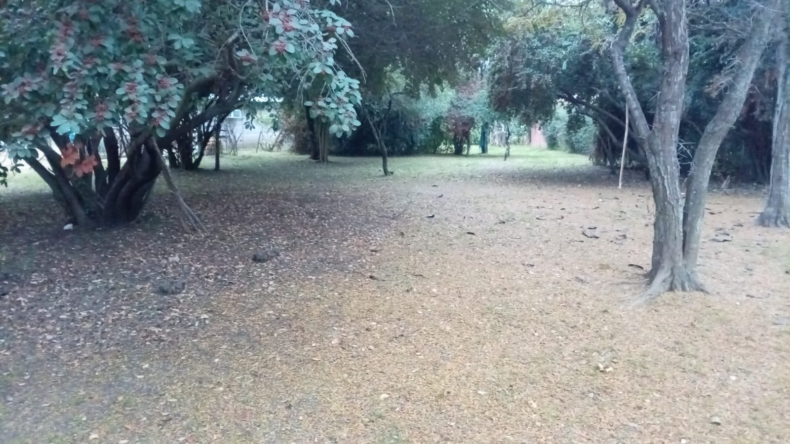 Lote de 480 m² en venta en Villa Los Ángeles, Valle Hermoso - foto 4