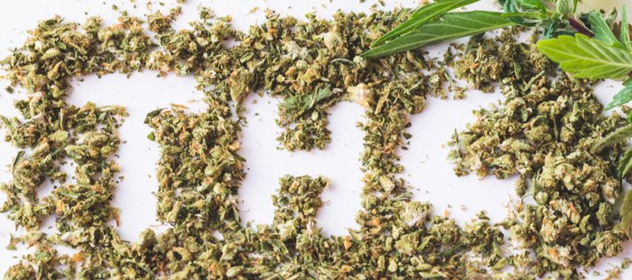 What are The Different Types of THC?