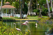 catalonia-bavaro-beach-gazebo_