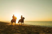 dreams-los-cabos-horseback-riding