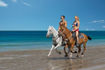 dreams-las-mareas-horses