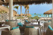 excellence-punta-cana-oregano