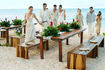 excellence-oyster-bay-weddings