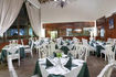 occidental-caribe-dining-options