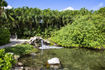 rasta_beach_the_verandah_spa_and_resort_antigua_07