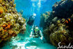 sandals-montego-bay-scuba-diving