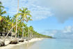 barcelo-bavaro-palace-palm-studded-beach