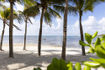 hyatt-ziva-riviera-cancun-beach-palm-trees