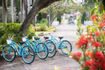 half-moon-jamaica-bicycles