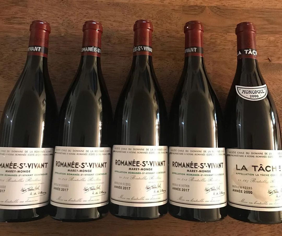 勃艮第羅曼尼-聖-維旺葡萄園的壯麗景色