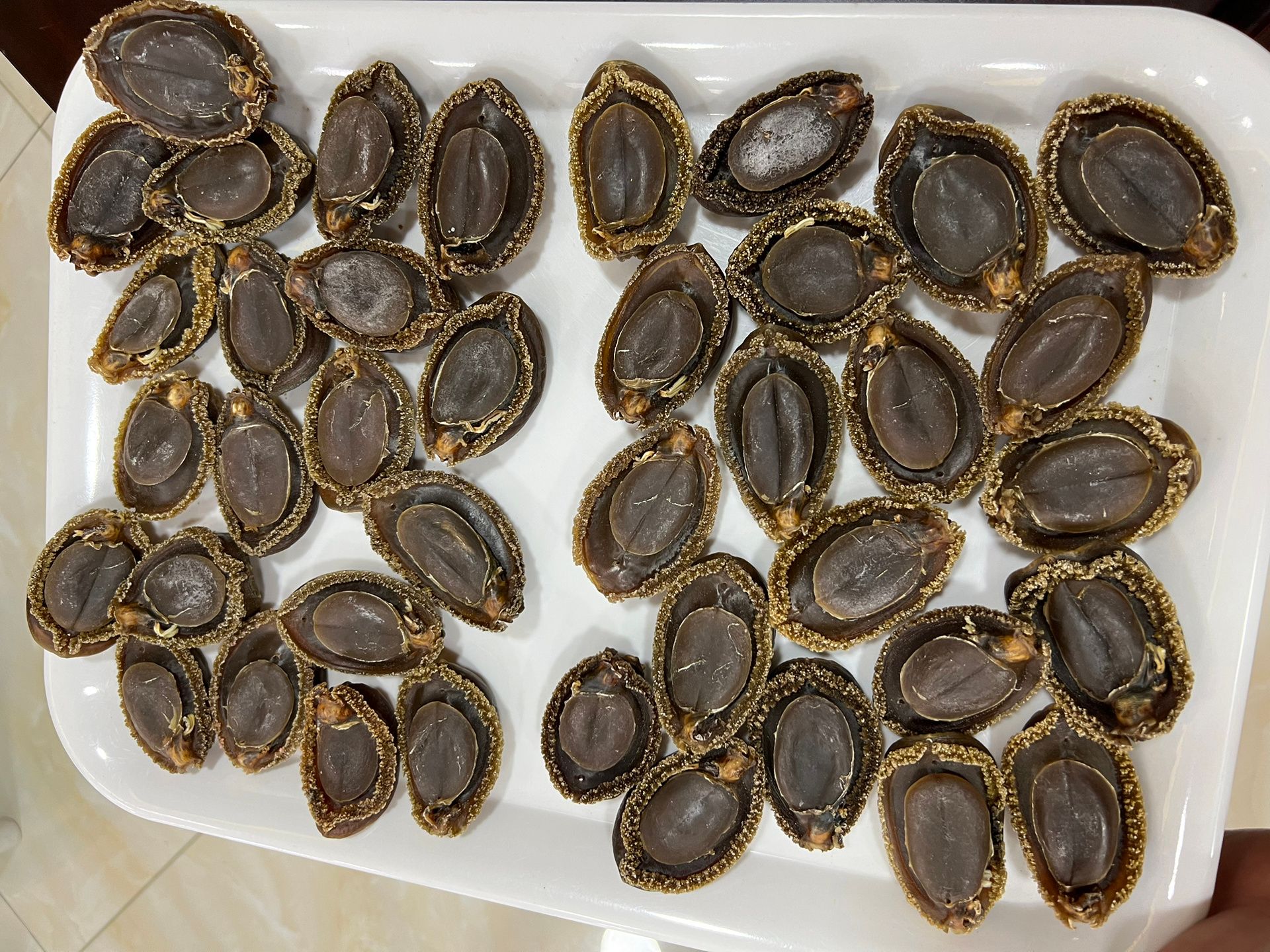 來自南非、中東等產地的其他類型乾鮑