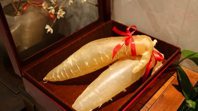 打開的禮盒內放有兩塊繫紅色緞帶的花膠