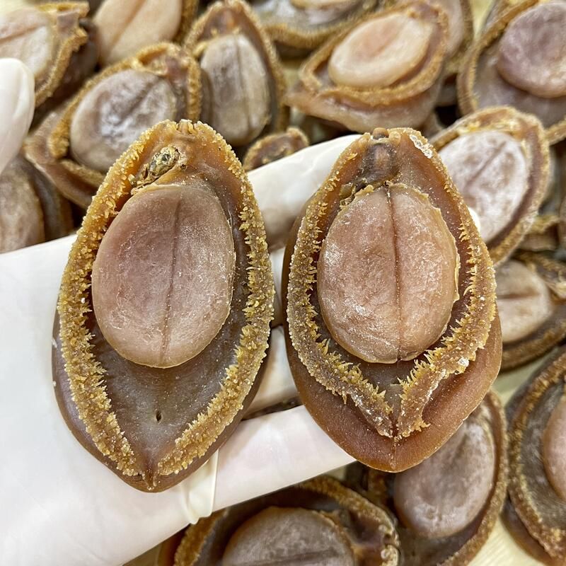 色澤金黃、形態元寶狀的吉品鮑