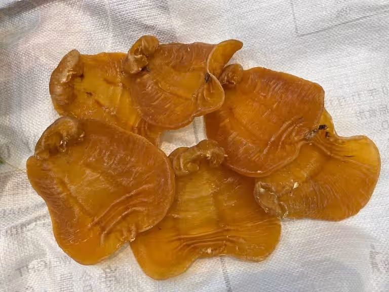 滋補海味回收