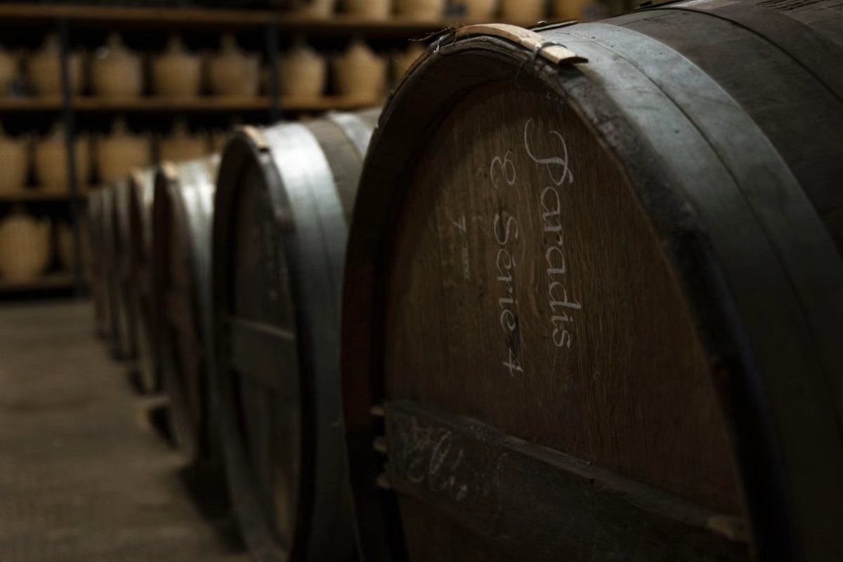 干邑酒窖中陳年的橡木桶，象徵時間的價值