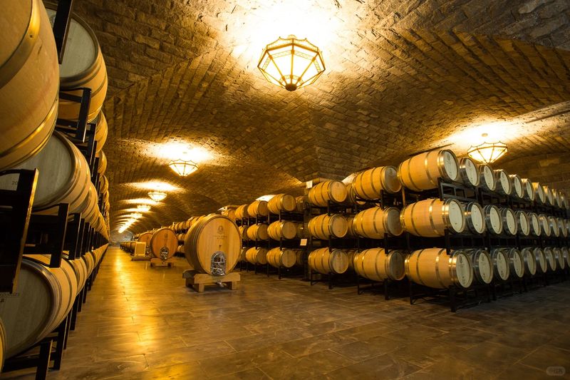 DRC 酒窖中排列整齊的全新法國橡木桶，展現其不計成本的釀酒哲學