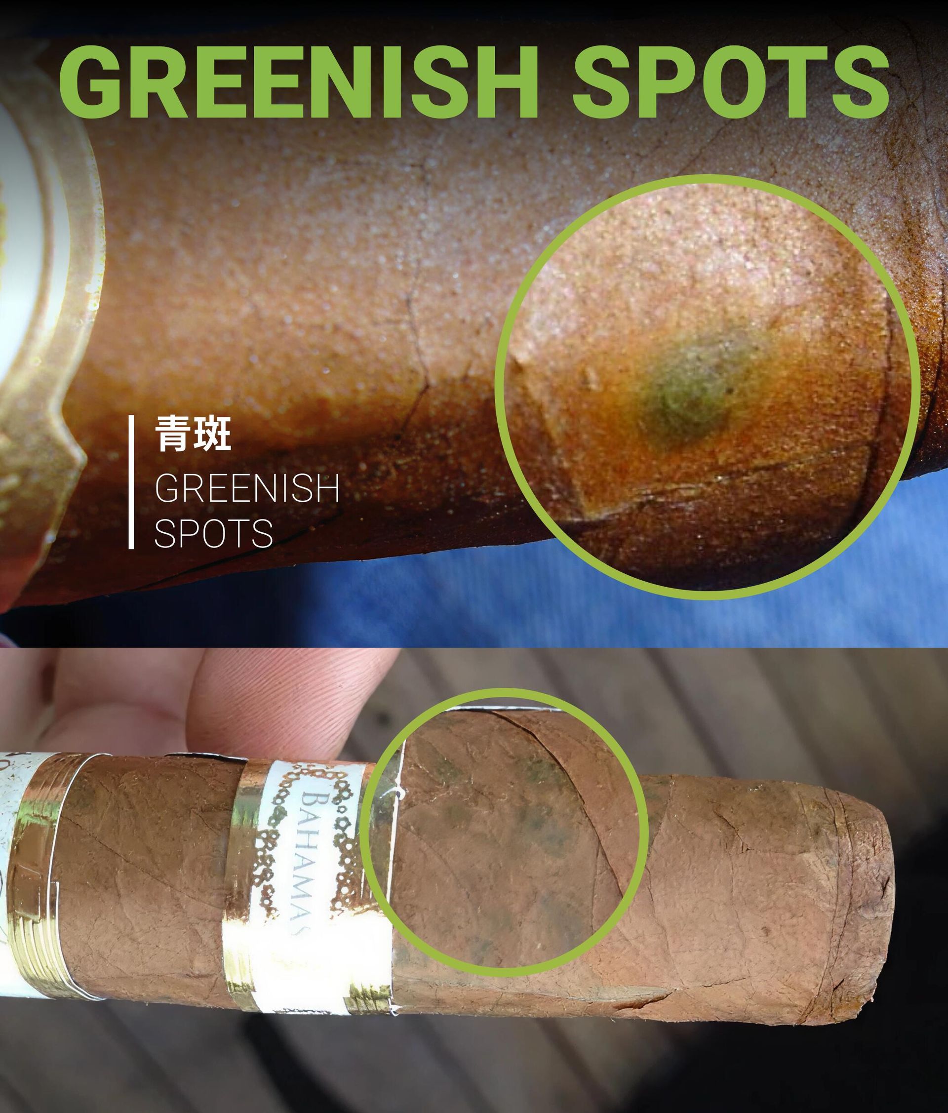 舊雪茄茄衣斑點與表面品相檢查示意