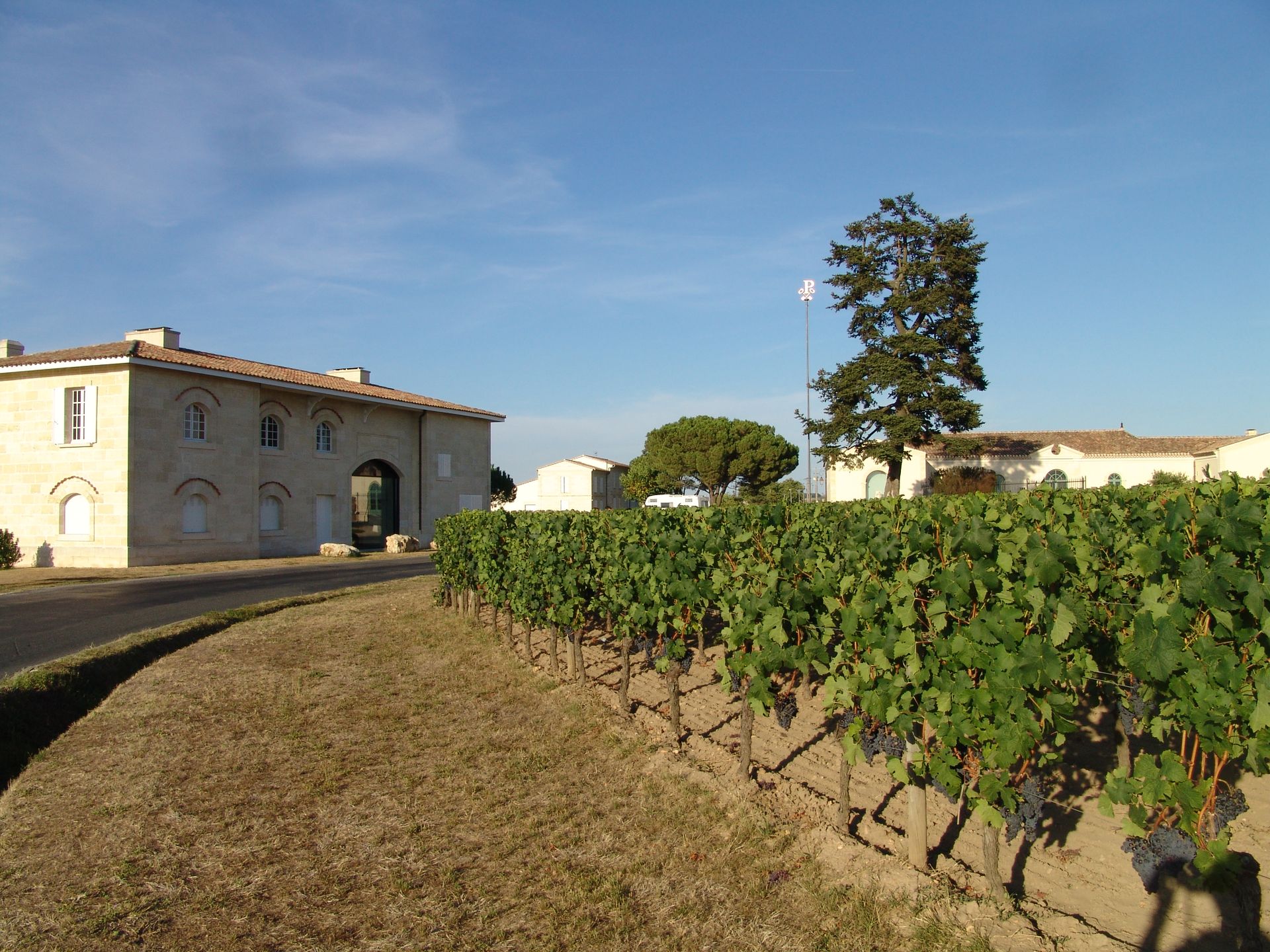 柏圖斯 Château Pétrus 標誌性酒瓶與葡萄園背景