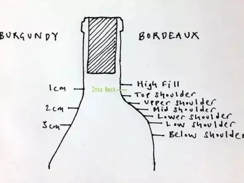 紅酒液位 (Ullage) 示意圖，展示不同液位對價值評估的影響