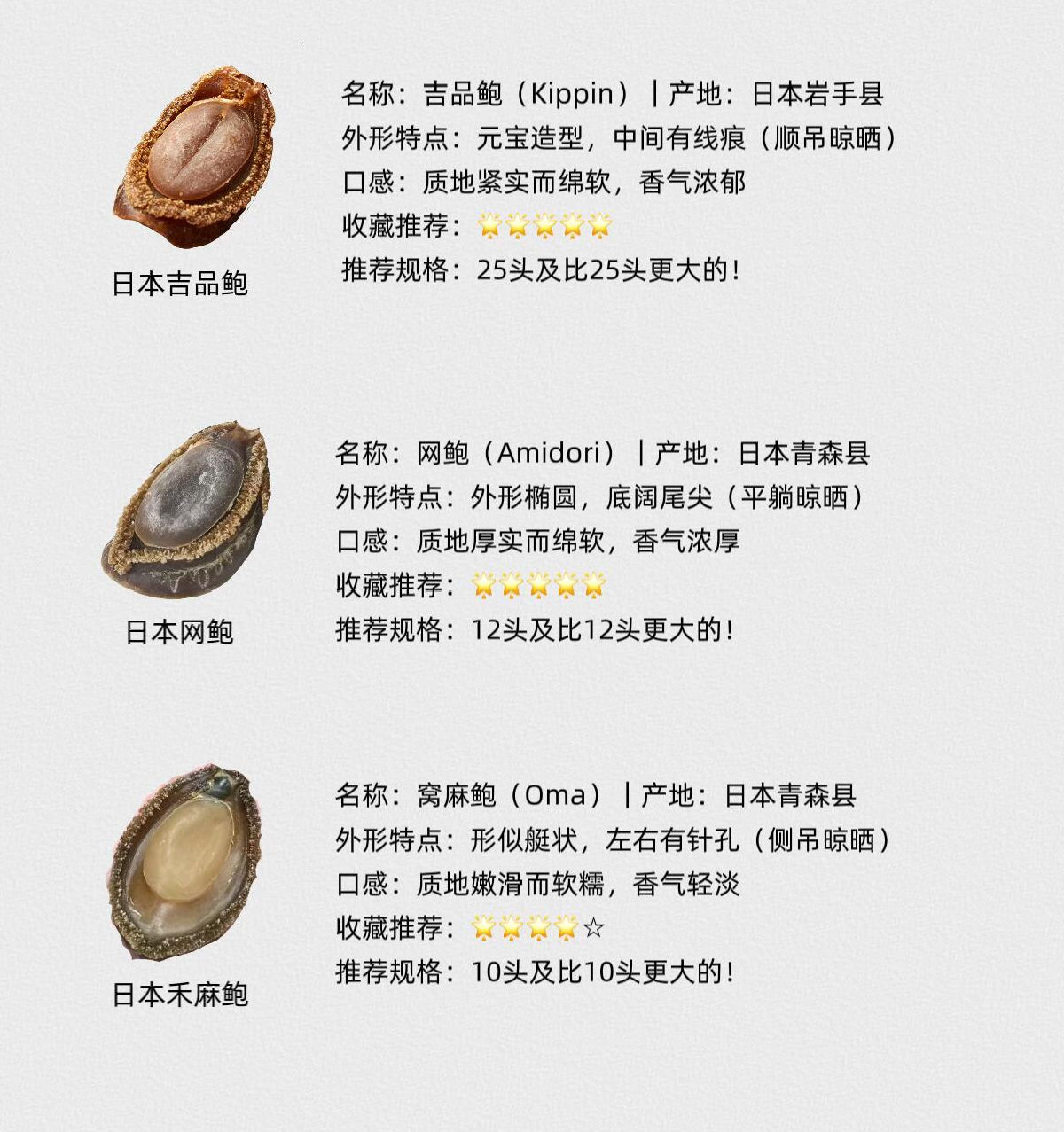 日本網鮑吉品鮑禾麻鮑形態特徵