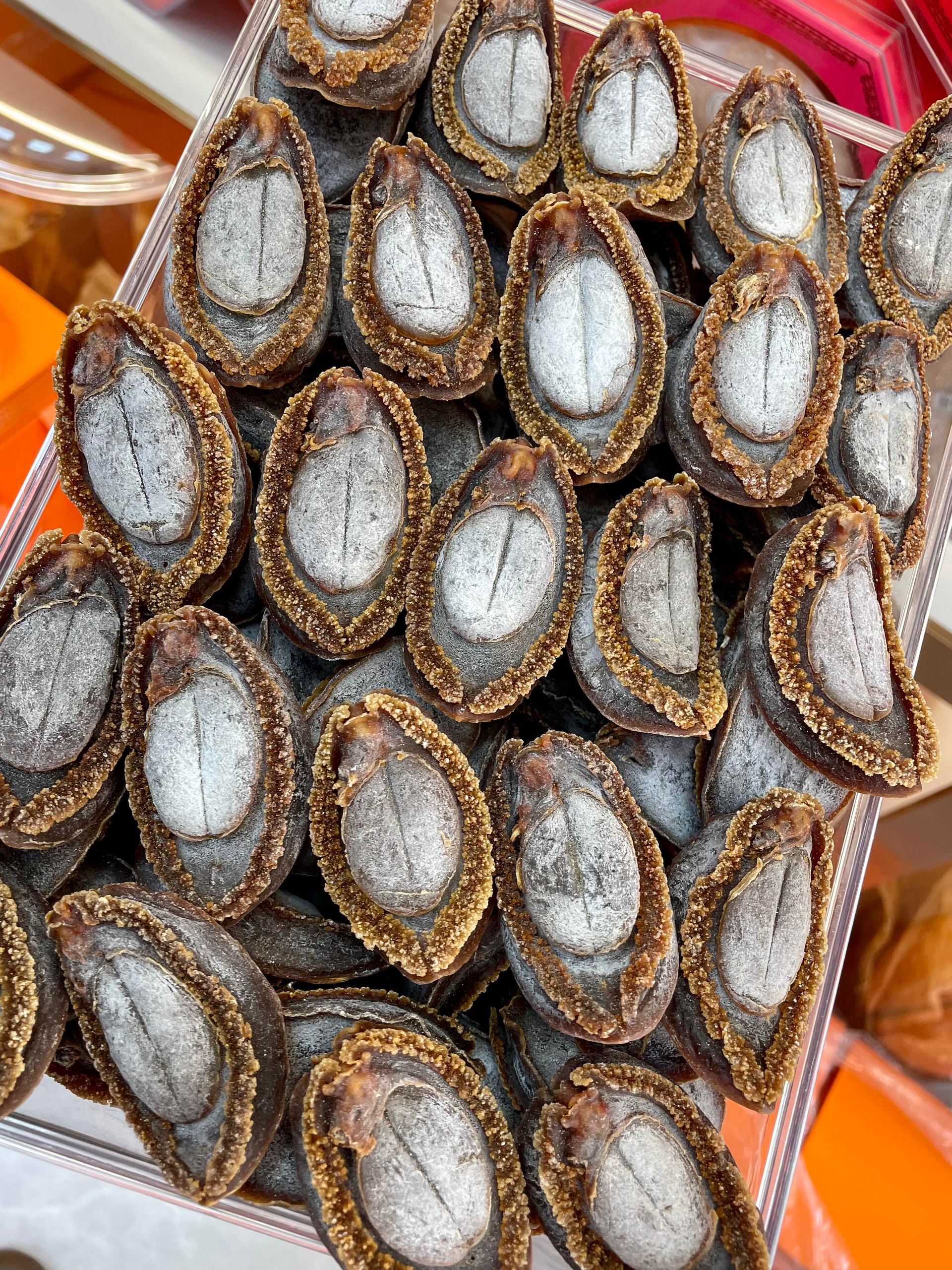 鮑魚實物展示