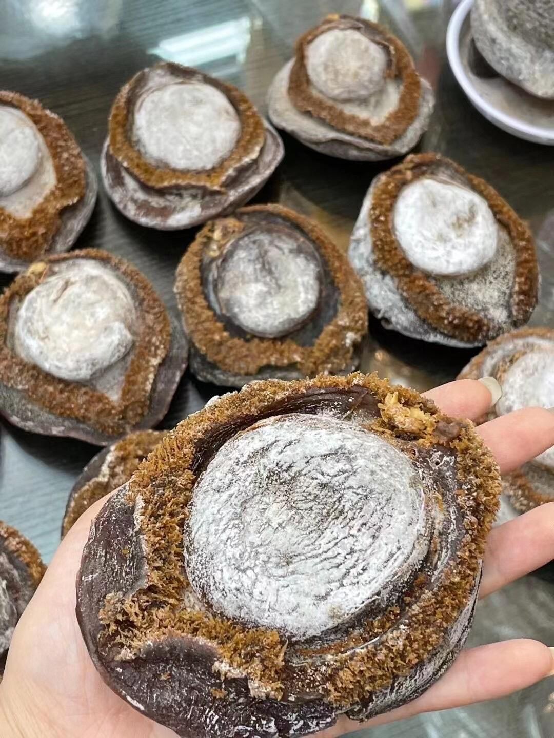 溏心鮑/即食鮑回收