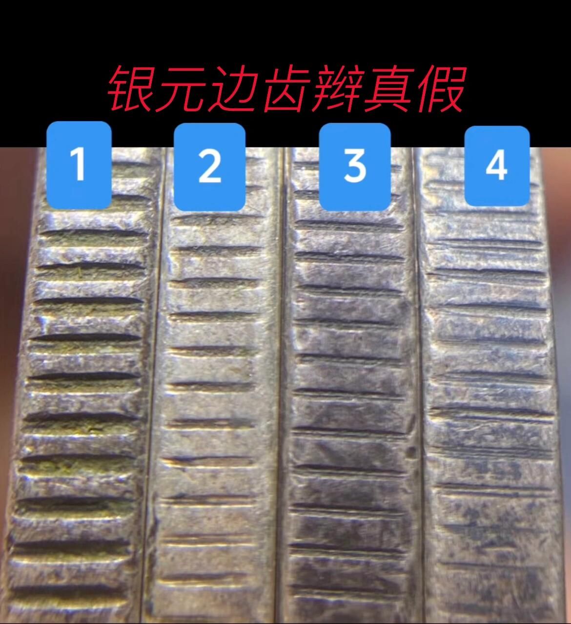 老銀元邊齒齒溝與翻砂仿幣齒邊微觀示意圖