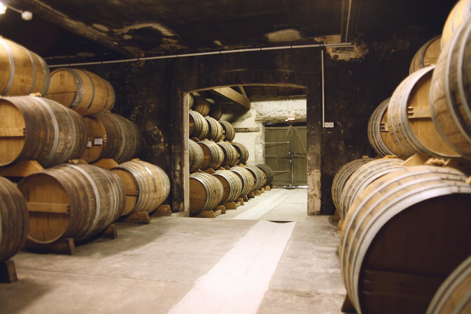 干邑陳年地窖 - 歲月沉澱的琥珀色液體