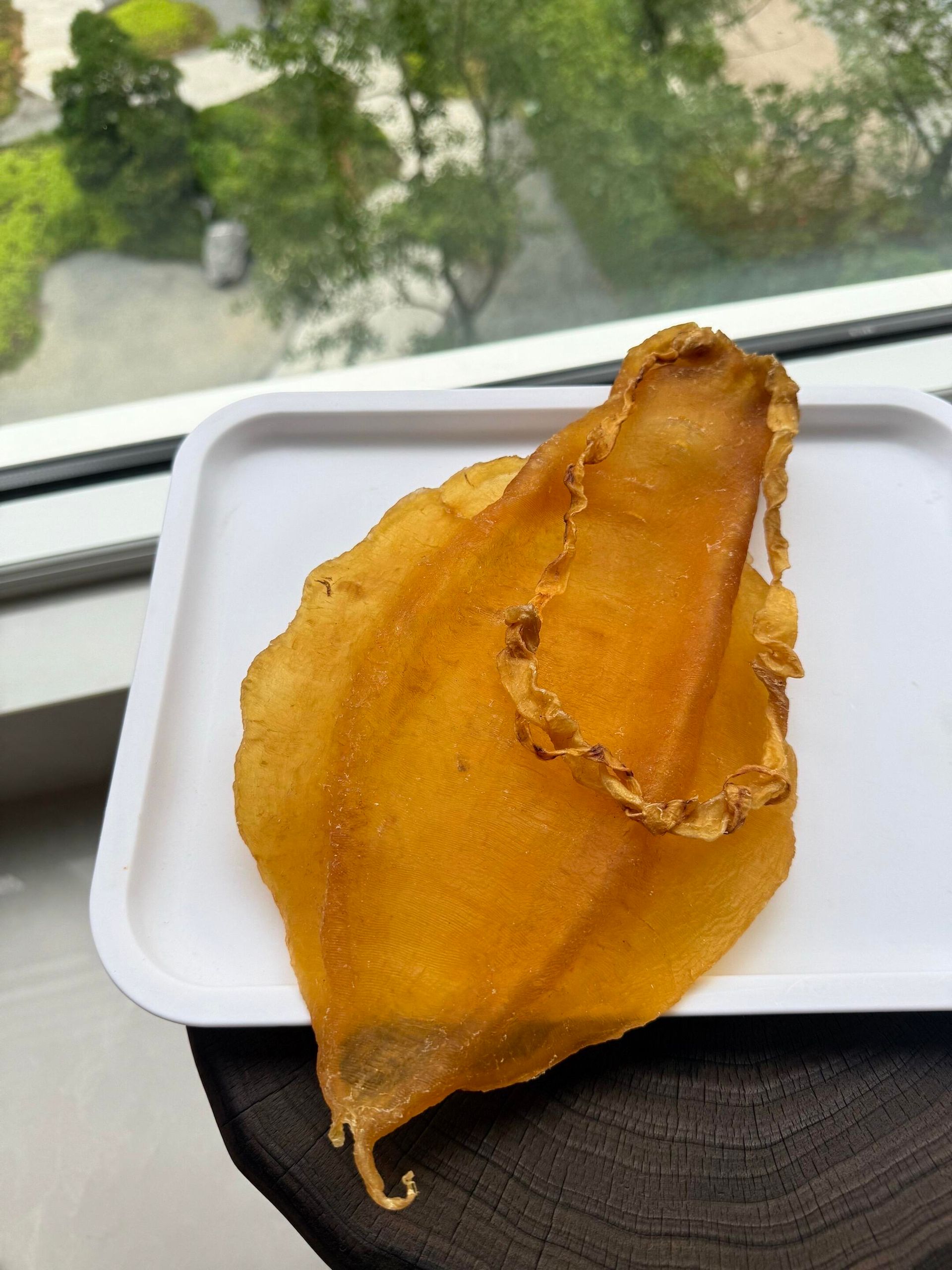 金錢膠 回收