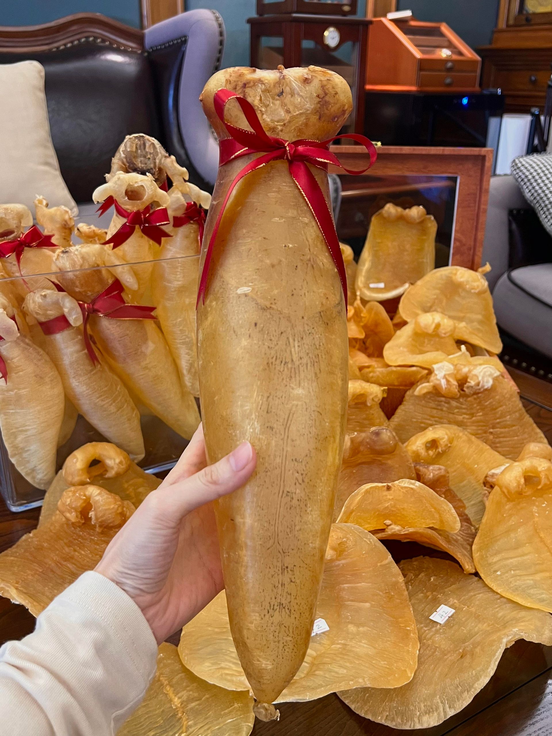 花膠（魚肚/魚膠）實物展示