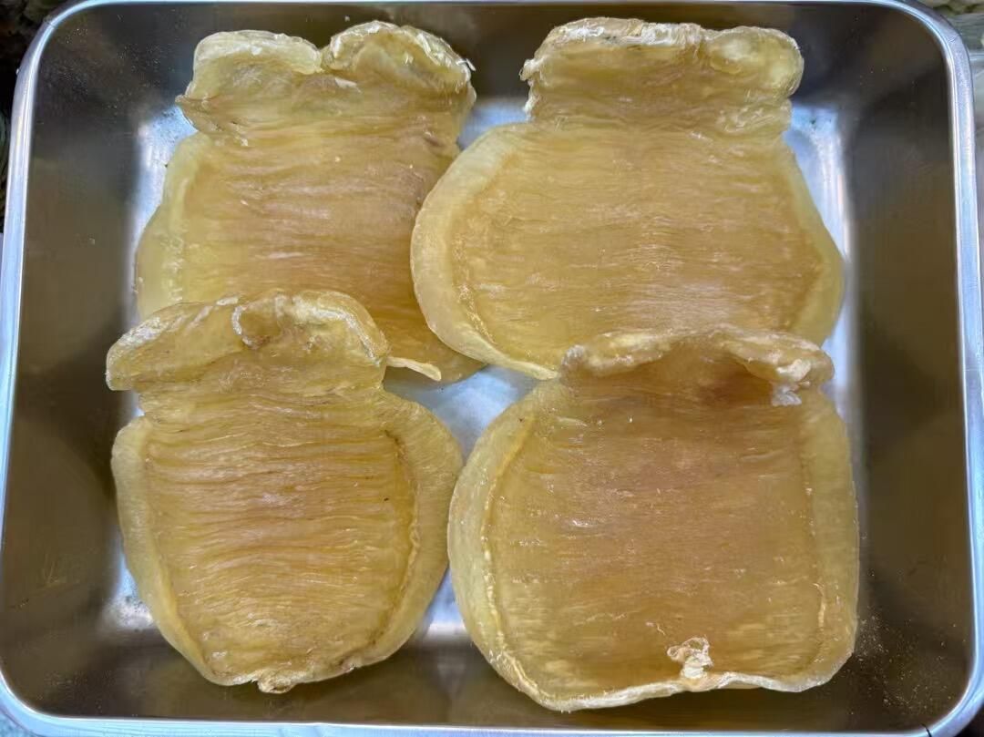 鳘魚膠 回收