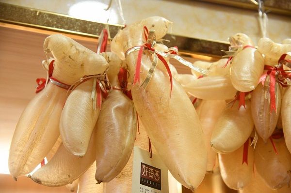 專業花膠鑑定師在燈光下檢測花膠的細節