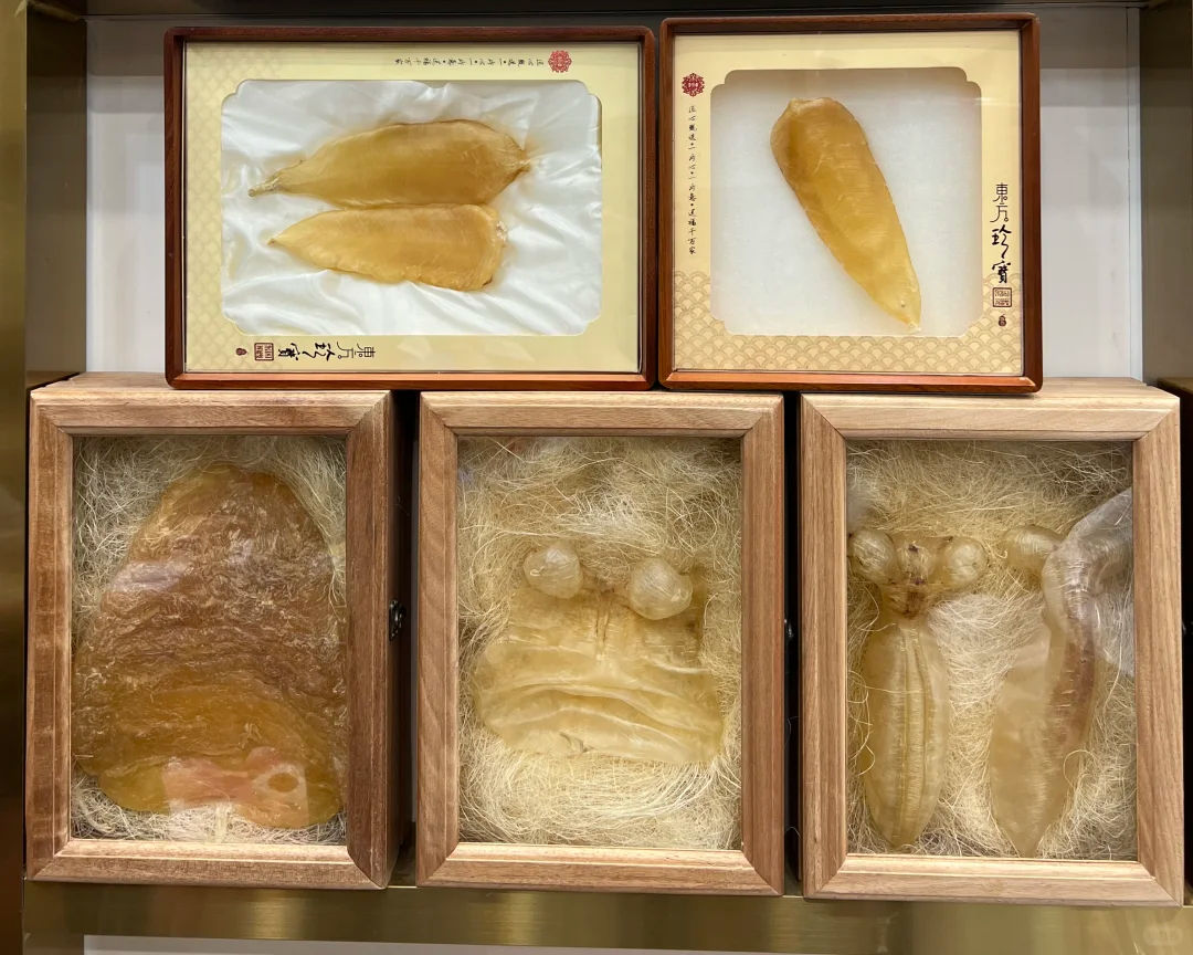 花膠在密封乾燥環境中存放，旁邊有濕度計