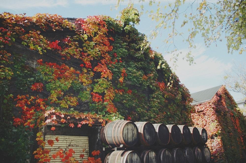 輕井澤蒸餾所舊址與雪莉桶陳年