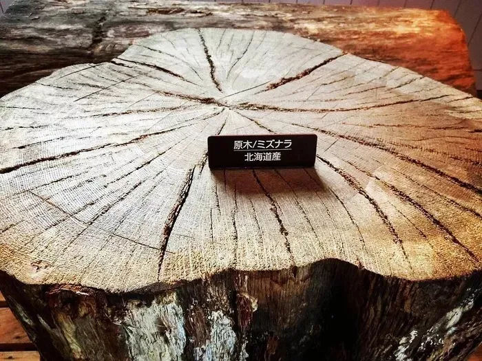 水楢橡木紋理特寫，展示其獨特結構