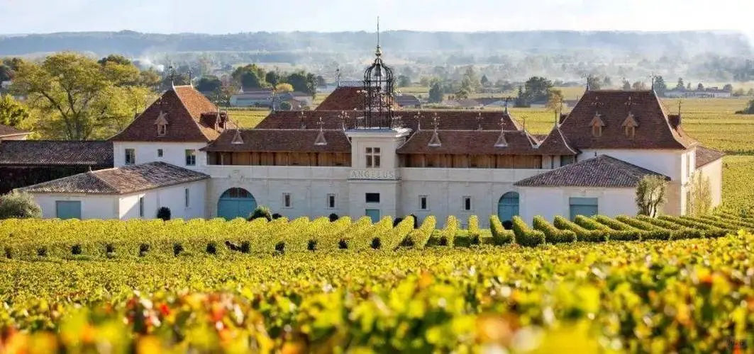 柏圖斯酒莊葡萄園和獨特的風土