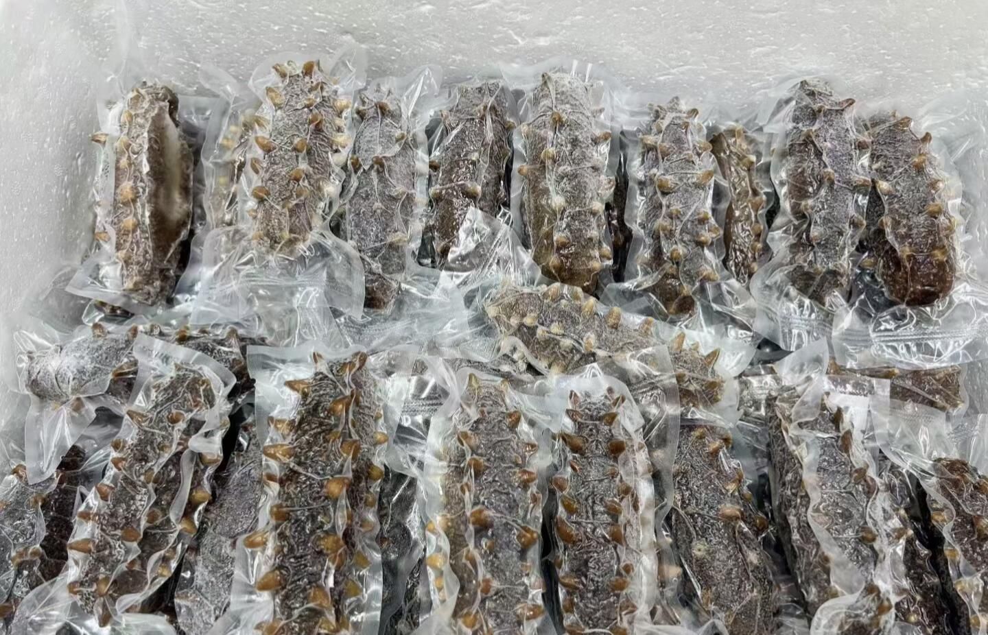 即食海參 溏心海參回收