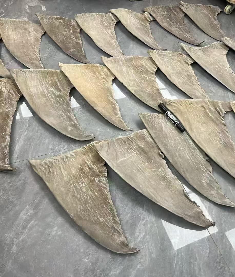 家中發現陳年魚翅後保持原包裝、拍攝標籤、盤點重量並暫停搬運的六步流程