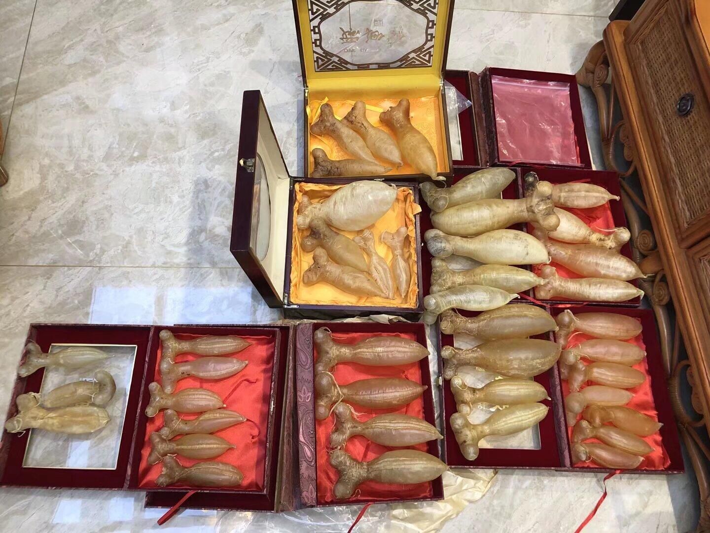 花膠正背面紋路、乾鮑邊緣孔痕與乾海參體表突起的局部照片，旁有對應批次編號
