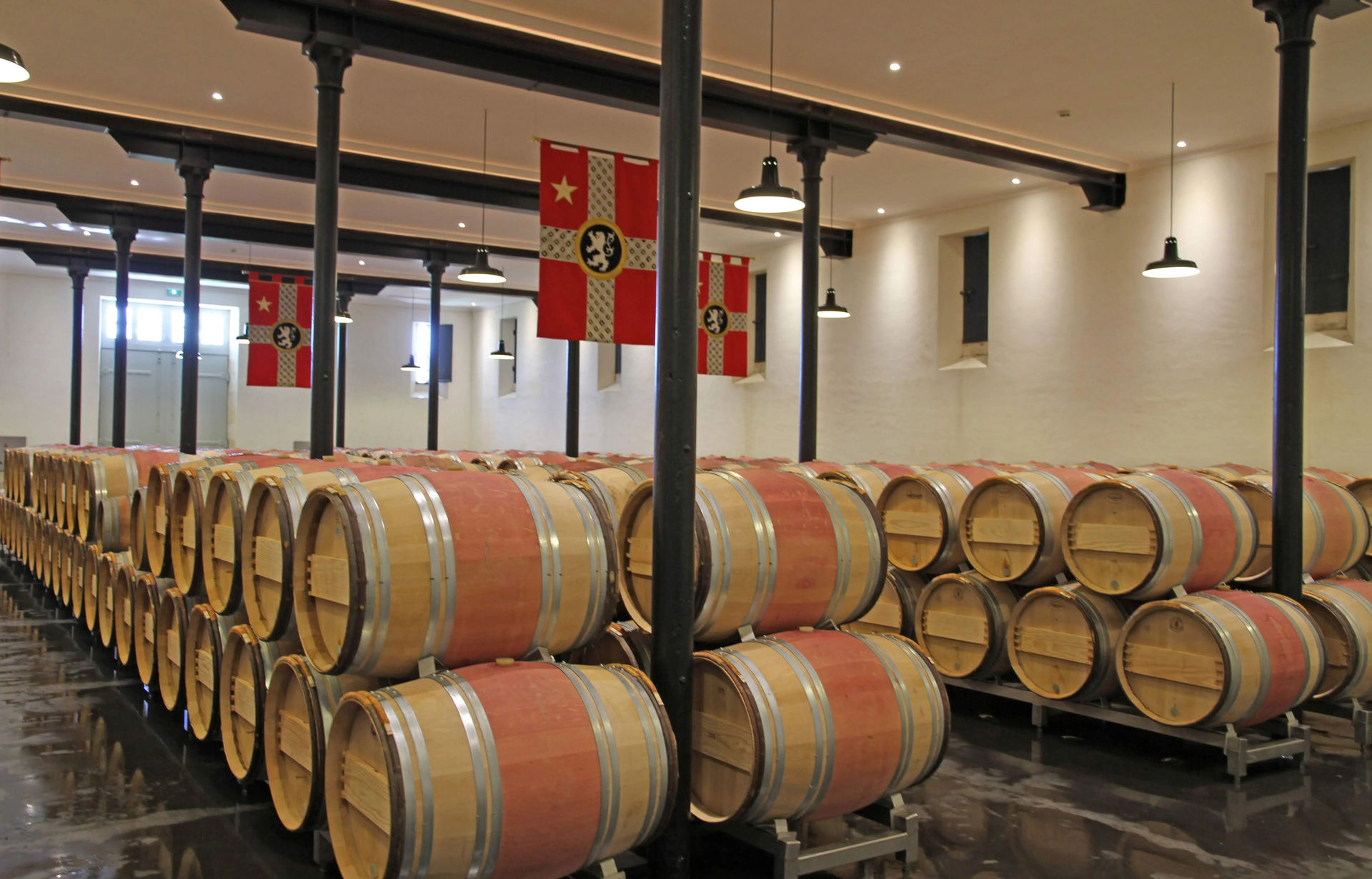 柏圖斯葡萄酒存放在專業酒窖中的場景